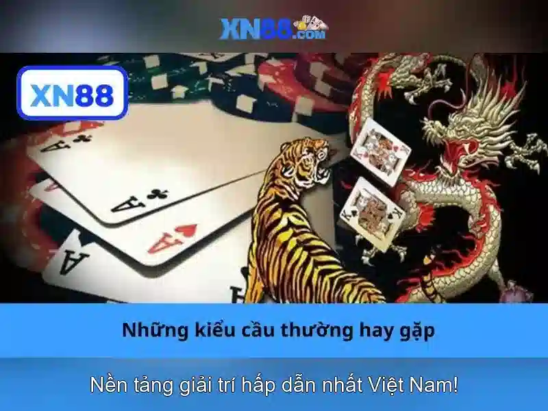 💎t i le ca cuoc bong da💎