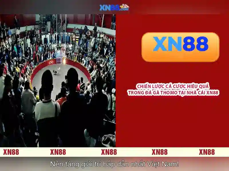 Liên Hệ XN88 – Kết Nối Hỗ Trợ Nhanh Gọn Mọi Vấn Đề Với XN88 Gaming - XN88