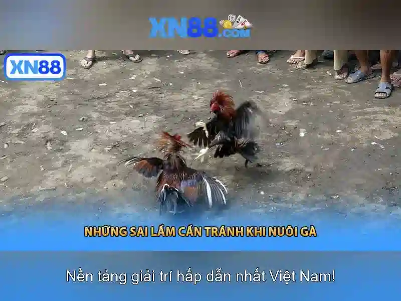 💎how many gear slots in hogwarts legacy💎