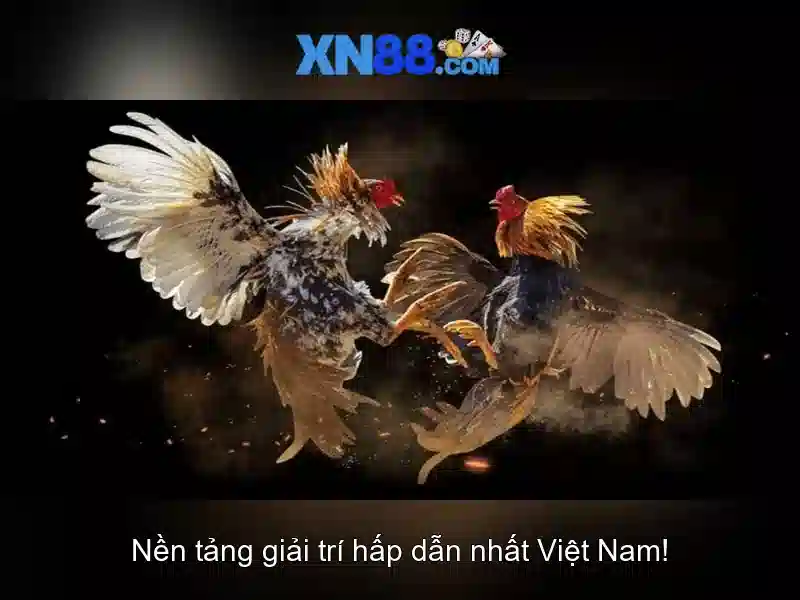 💎sòng bạc albie💎