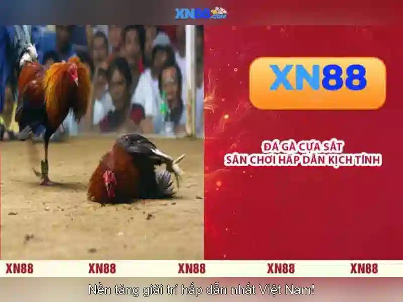 💎slots pollen nation💎