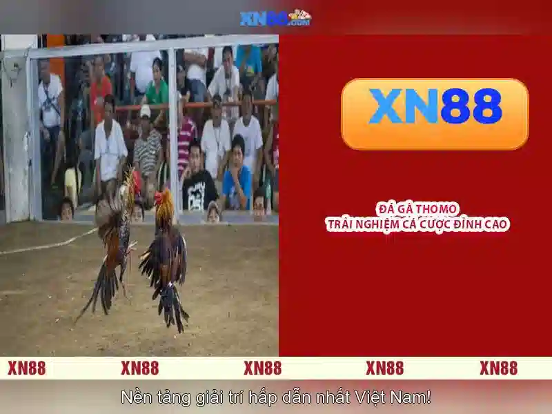 💎okbet slots free coins💎