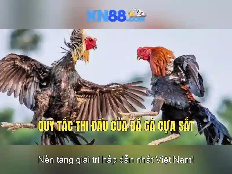 💎top 10 nhà cái uy tín casinoso1💎