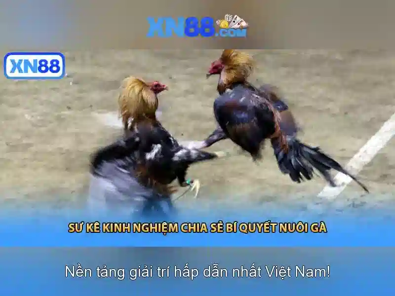 💎prime slots vedonlyönti💎