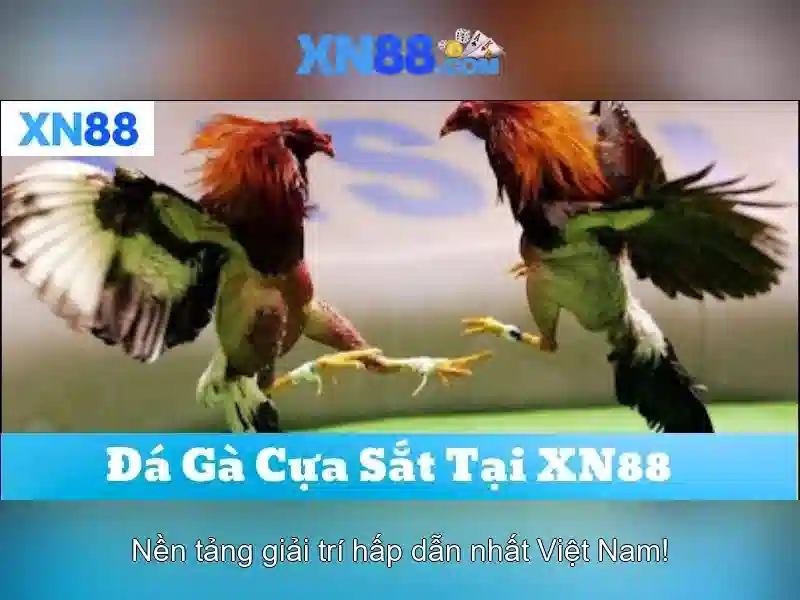 hướng dẫn đăng ký XN88 - XN88