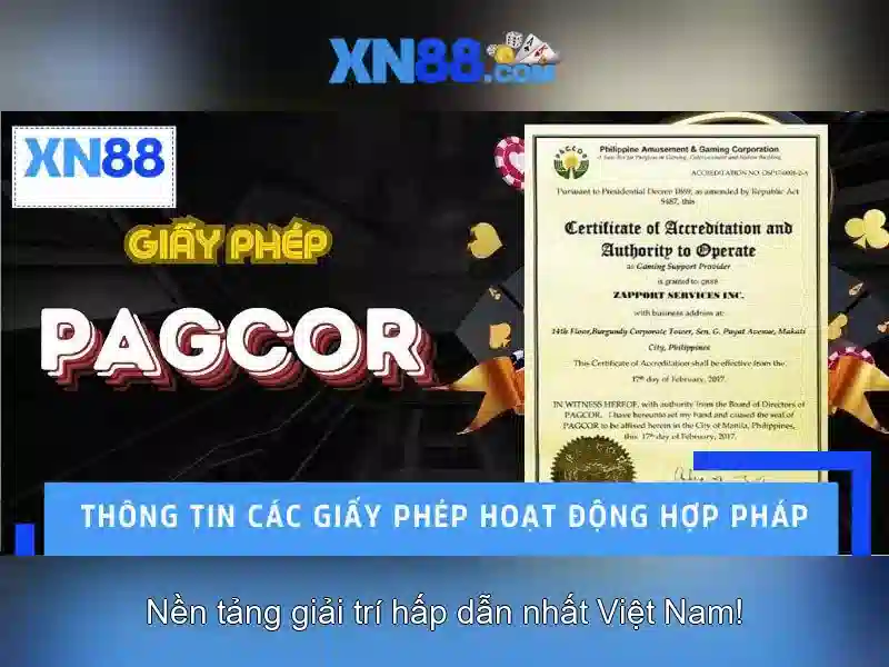 💎hướng dẫn về tội đánh bạc qua mạng💎