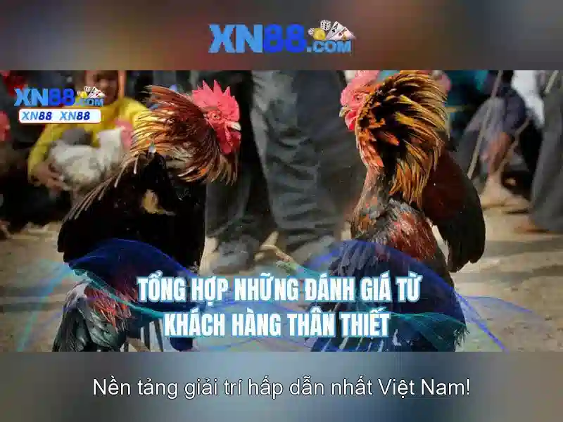 💎cá cược casino cvproducts💎
