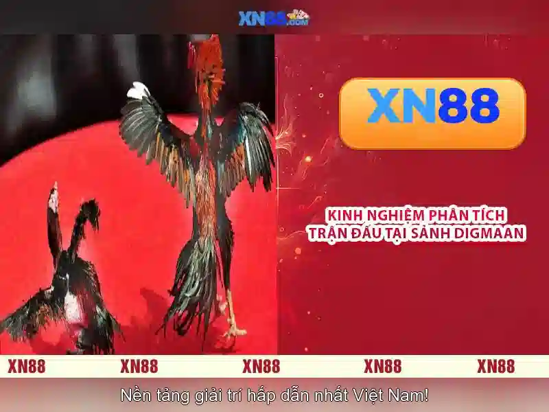 💎66b phan đăng lưu💎 - hoogoorddreef 66b amsterdam - 66b nguyễn sỹ sách p15 tân bình