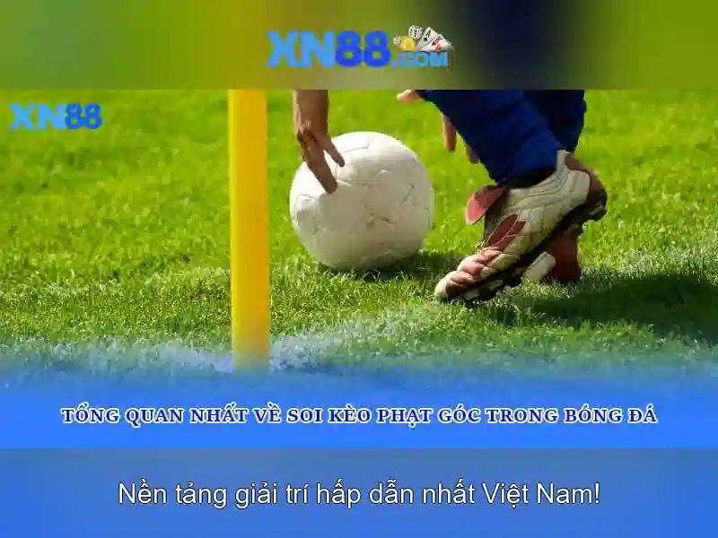 💎loài gấu nào sống ở bắc cực💎