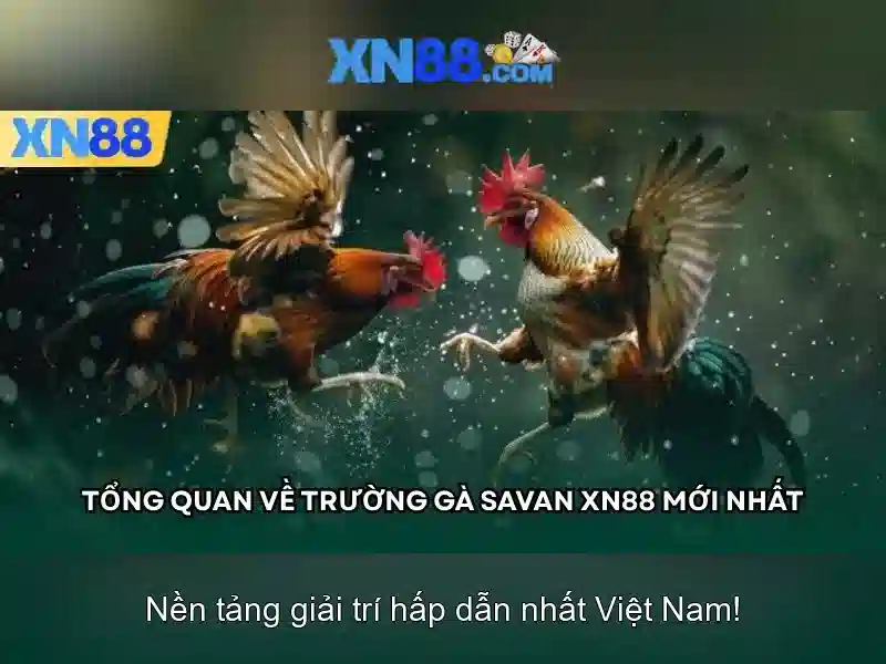 💎keo ca cuoc vong loai world cup💎