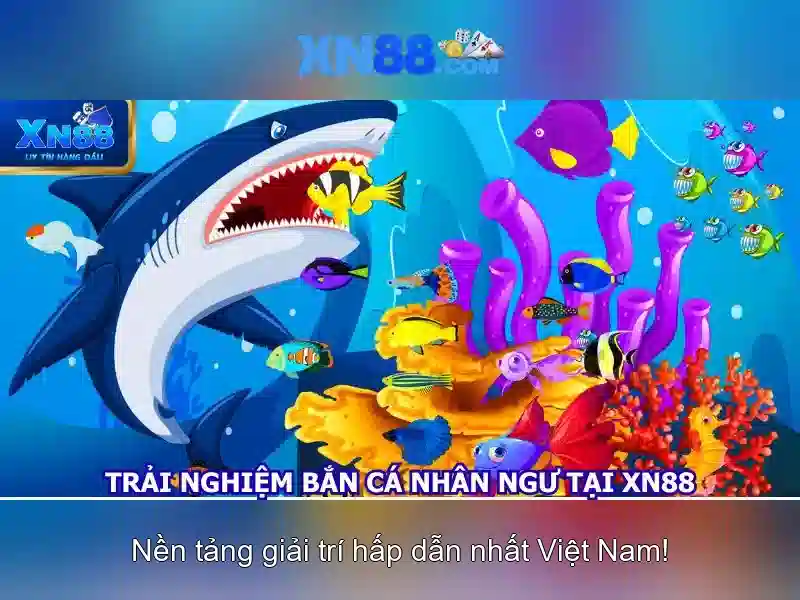 💎keo nhà cái 3💎