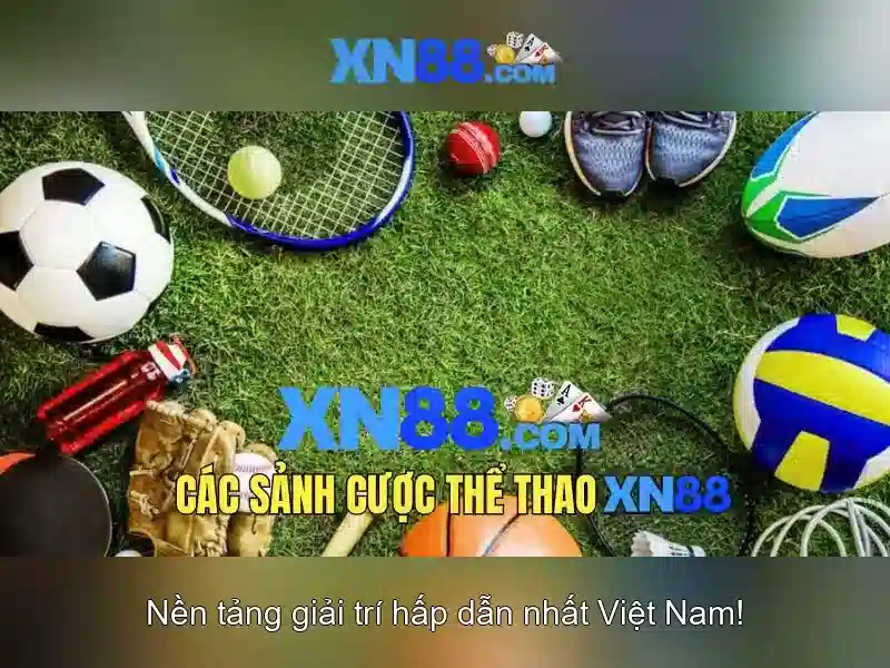 💎xi to nhà cái mu9💎