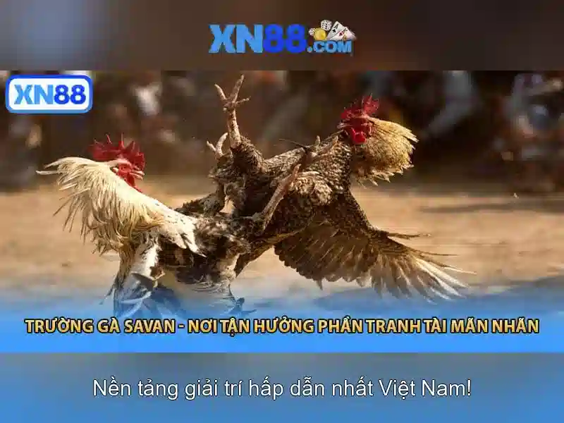 💎free online slots for real cash💎