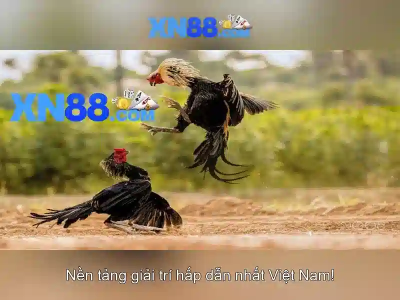 💎free slot bonuses no deposit💎