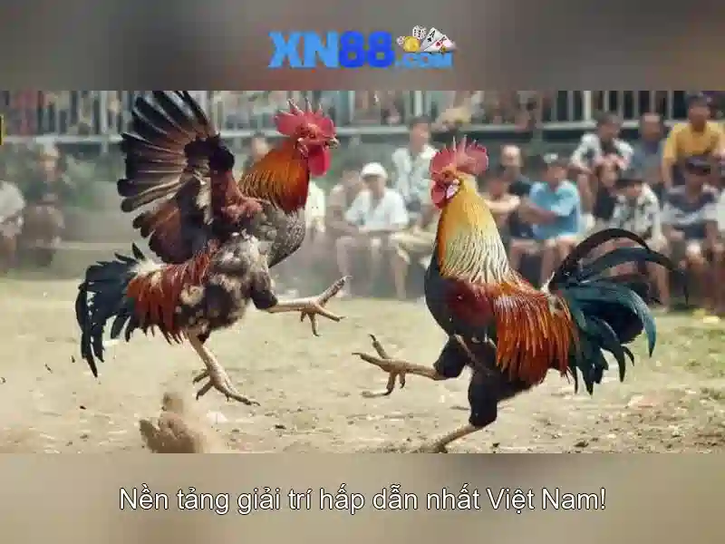 💎bộ luật hình sự tội đánh bạc💎