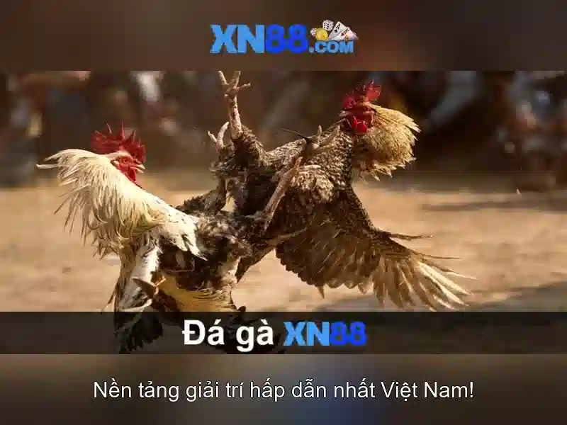 💎đánh giá Slot365💎