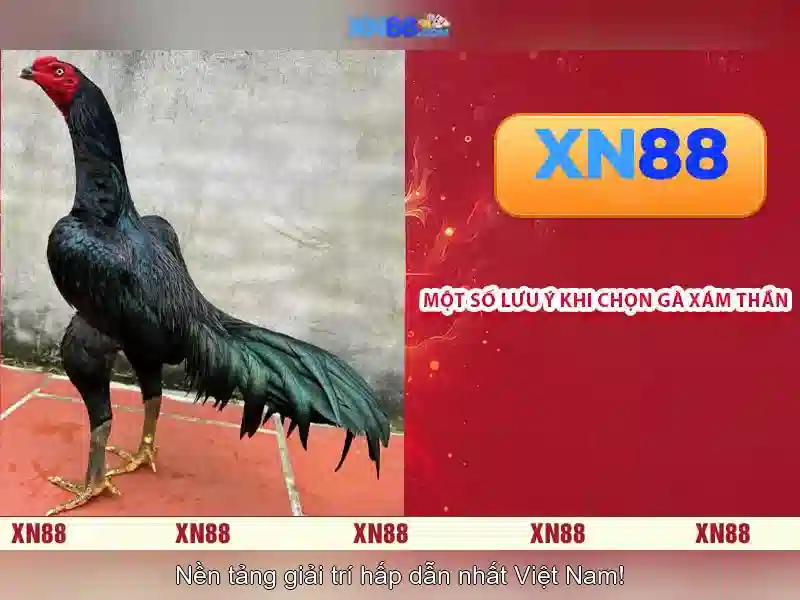 💎slot game hb88💎