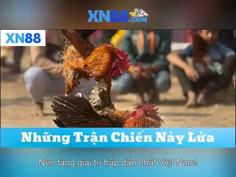 💎path of destiny slot free play💎