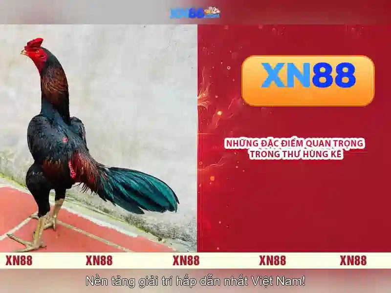 💎hb88 sign up bonus no deposit💎