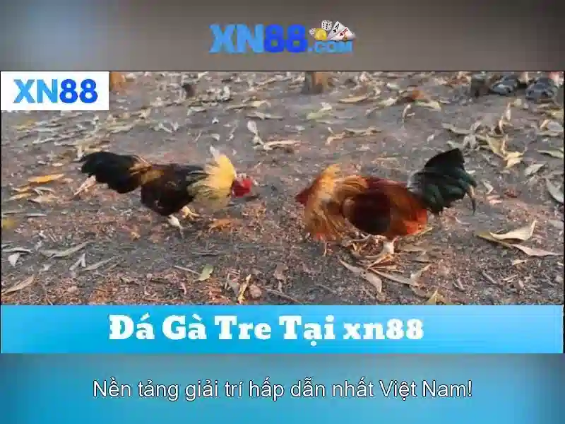 💎sảnh game 888 slot💎