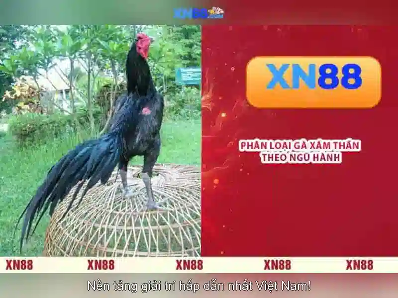 💎free slots and video poker💎