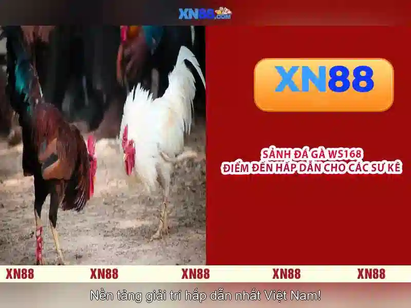 bắn cá trực tuyến - XN88