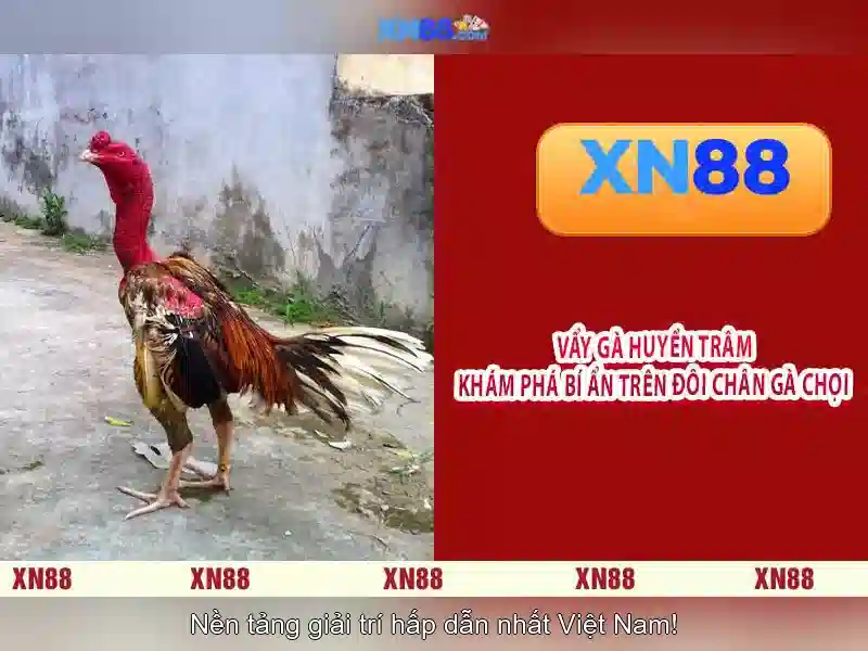 💎tất cả cuộc đời này chỉ có anh💎