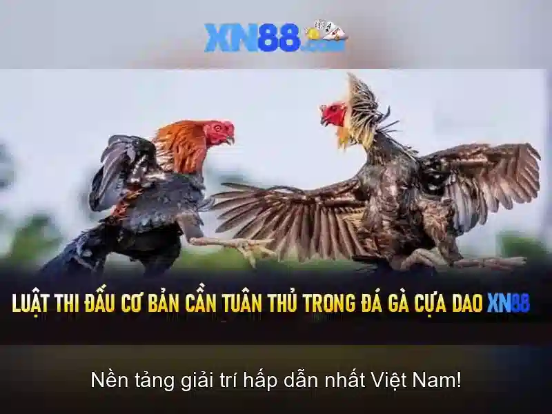 💎các sông lớn ở miền bắc💎