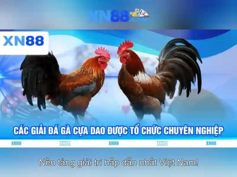 💎888 slot demo game💎